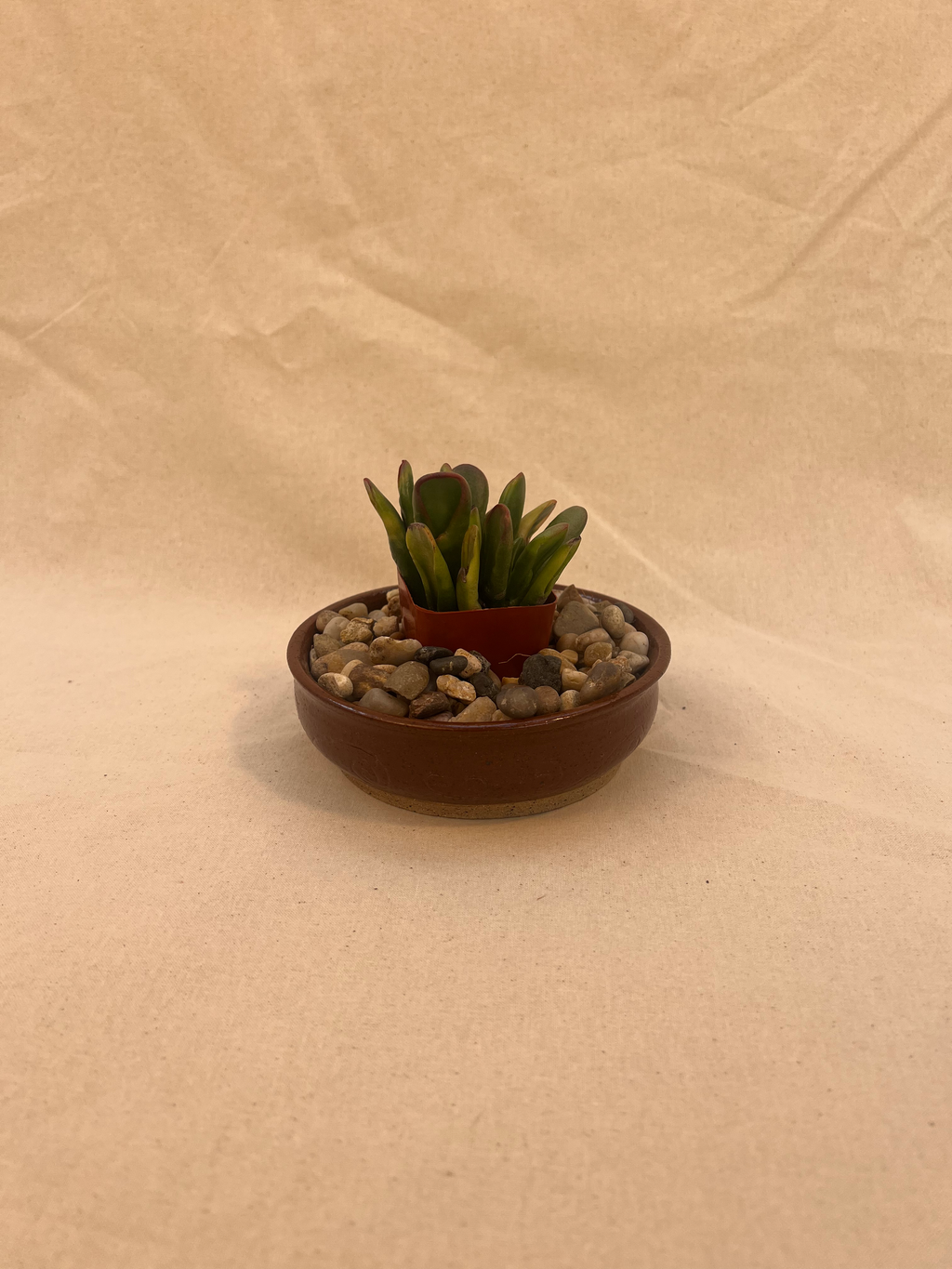 carved plant saucer image 0