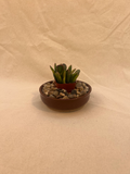 carved plant saucer image 0