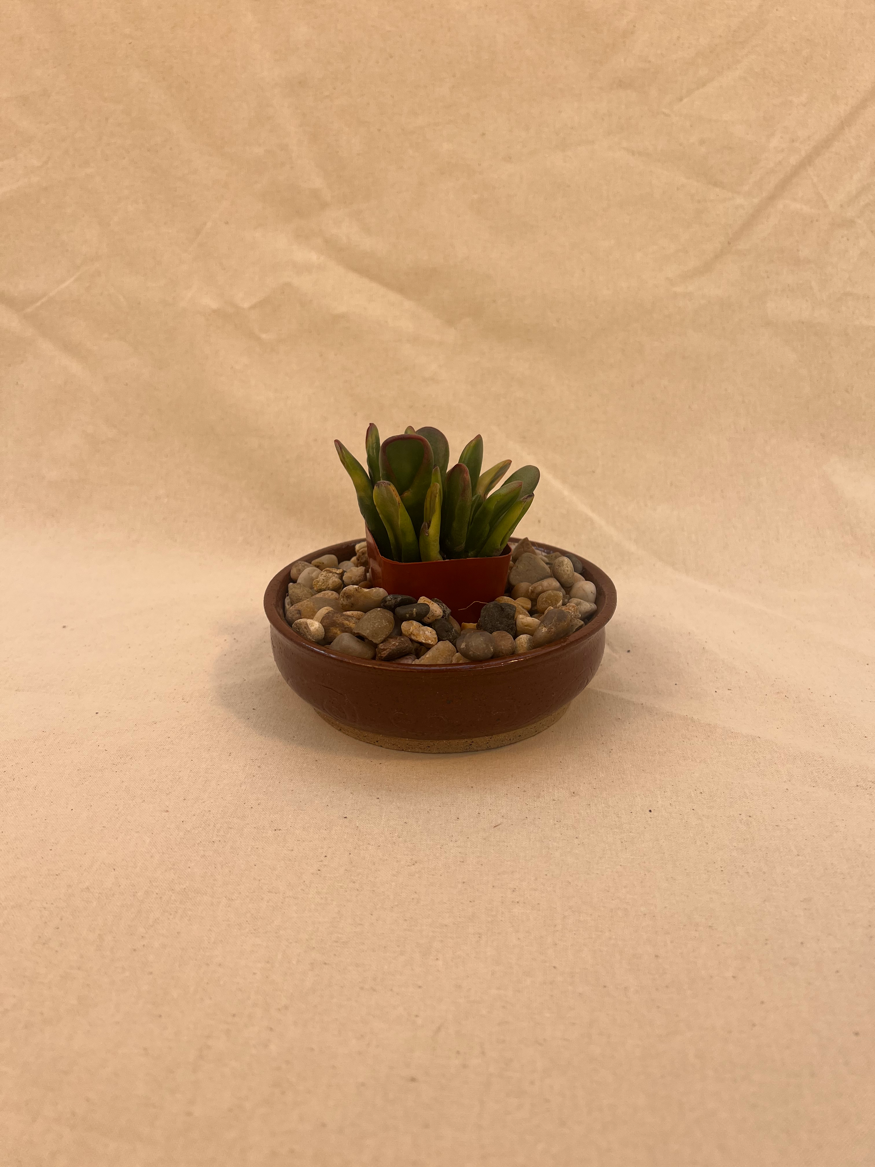 carved plant saucer image 0