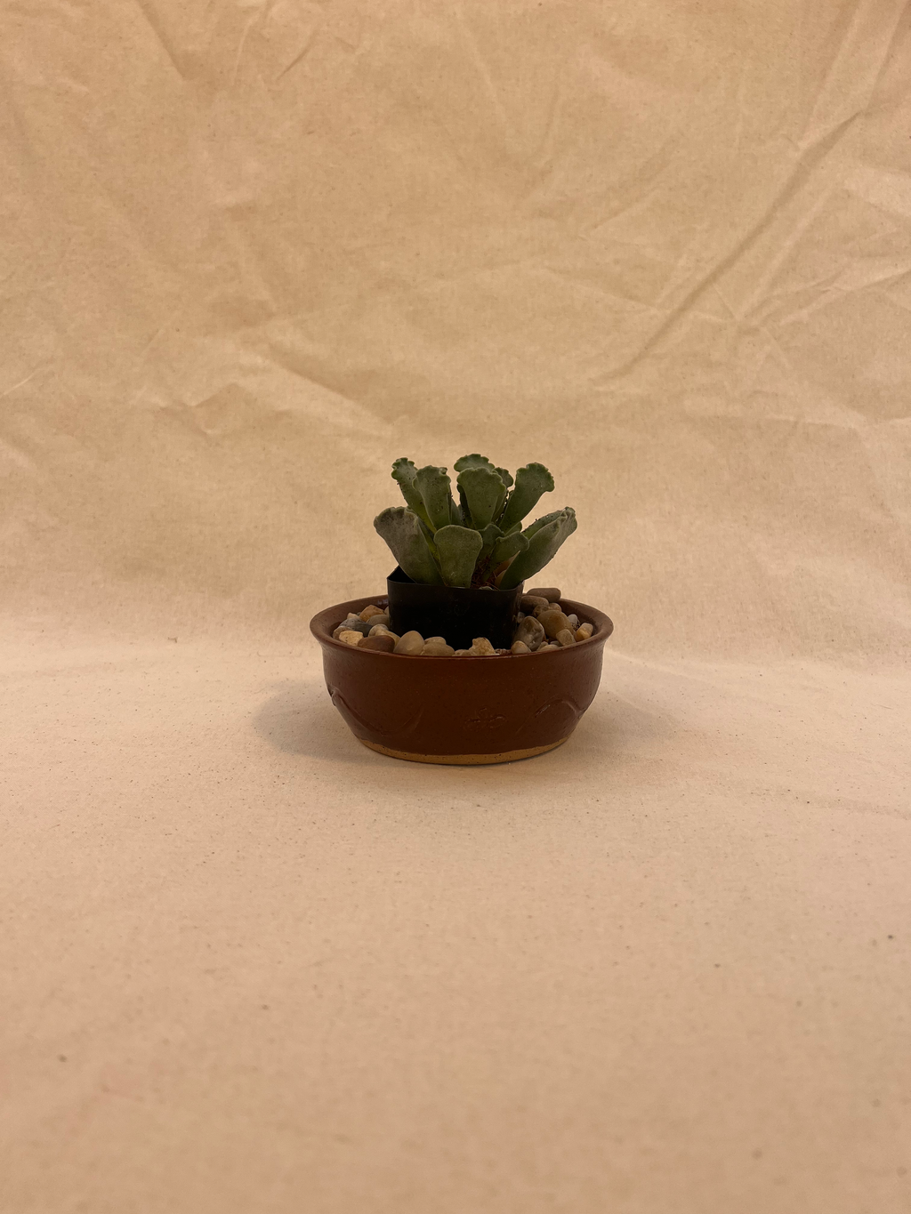 carved plant pot image 0