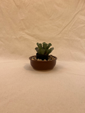 carved plant pot image 0