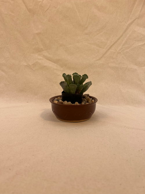 carved plant pot image 0