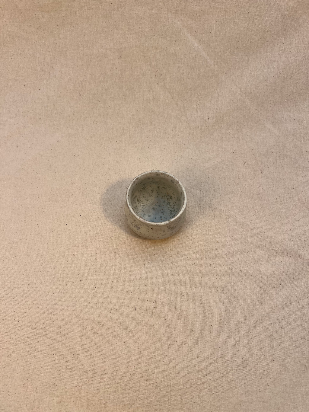 teacup image 2